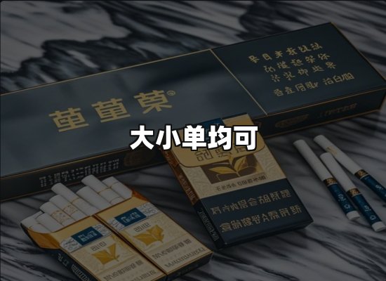 专业优势